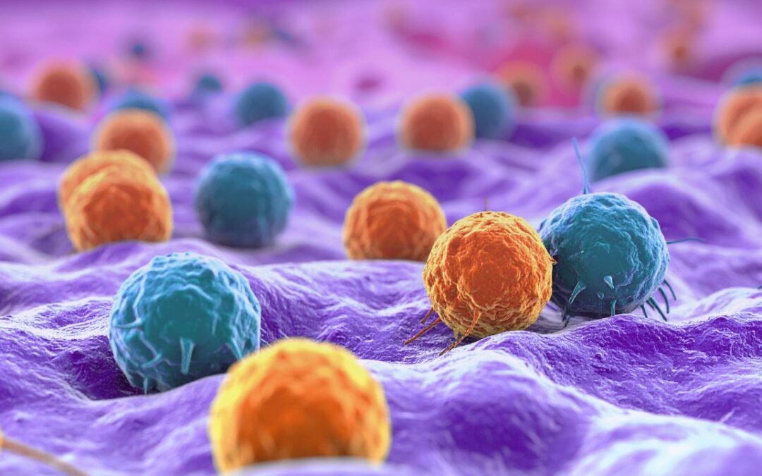 Criação de Modelos de Risco para Doenças Autoimunes: A Antecipação da Imunologia de Precisão